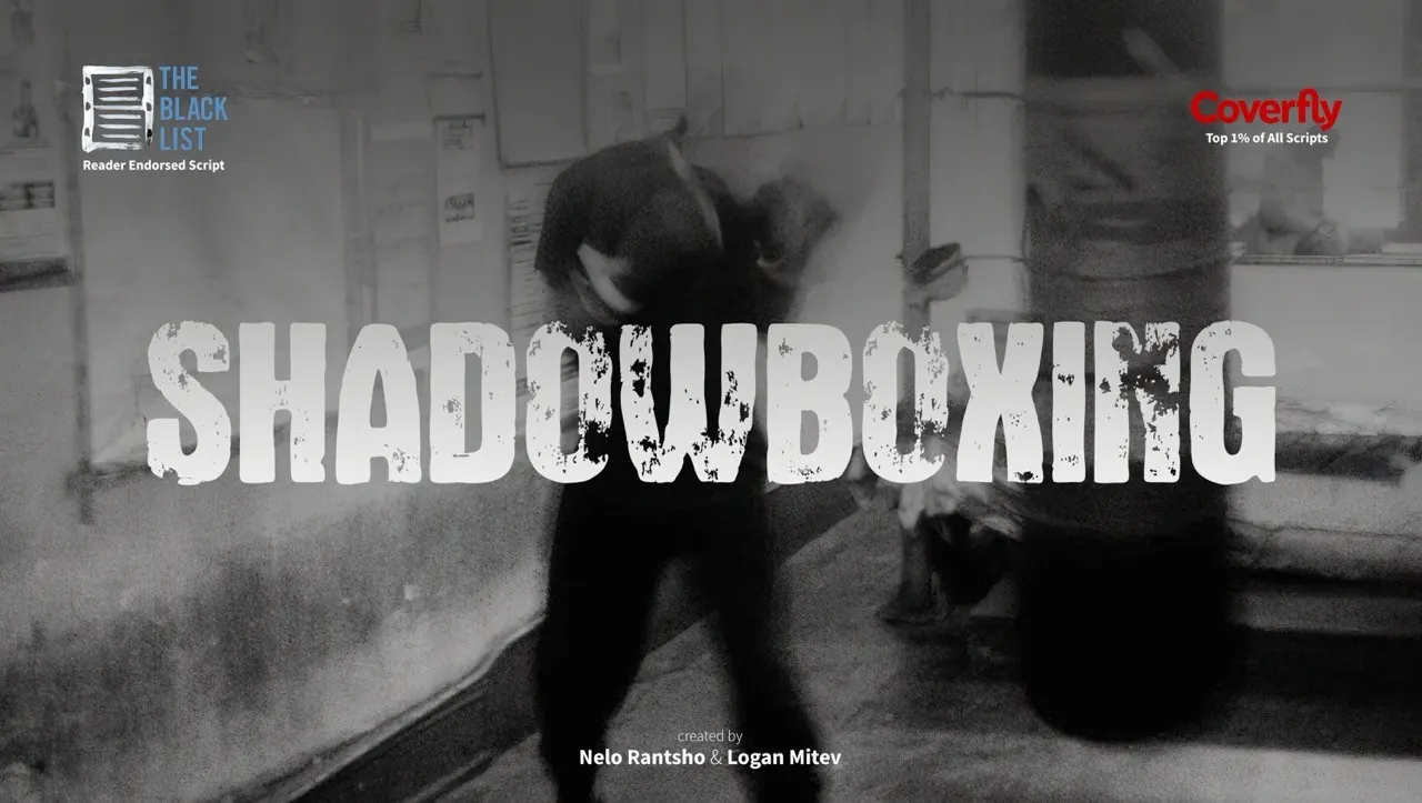 Shadowboxing pitch deck, page 7
