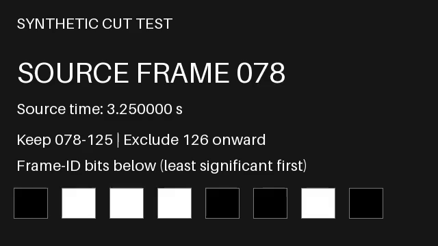 First decoded picture of the re-encoded result: source frame 078 at source time 3.250000 seconds.