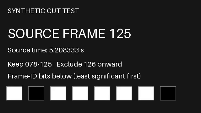 Last decoded picture of the re-encoded result: source frame 125, beginning at source time 5.208333 seconds. Frame 126 is excluded.